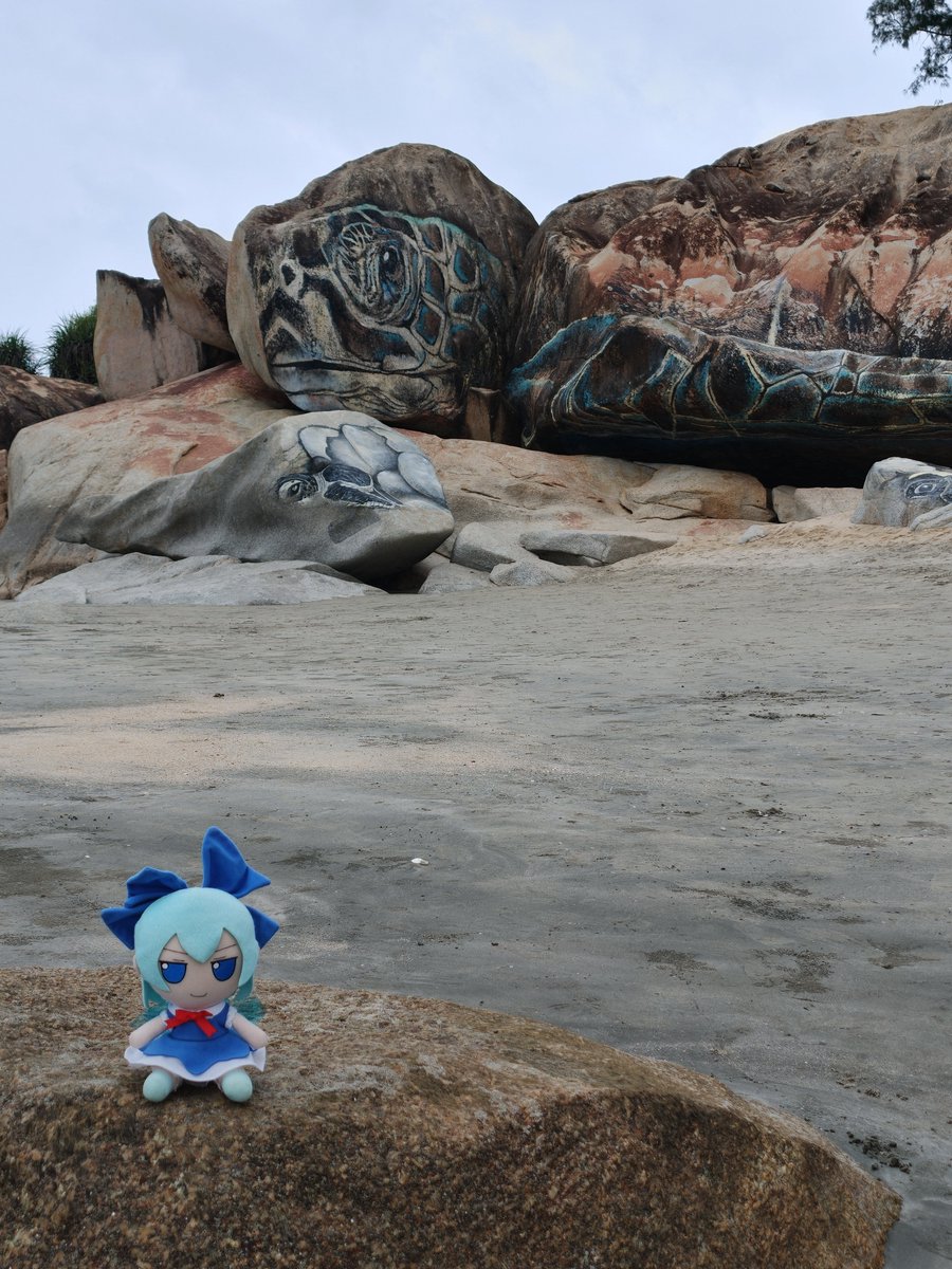 HoTempu's tweet photo. Giant turtles! https://t.co/R3N1EVeHlD