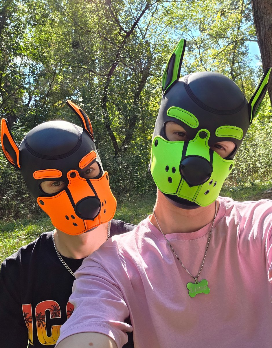 pup_lime's tweet photo. Sunny day, fresh air, two happy puppies 🐾 https://t.co/hYPDeAhG1m