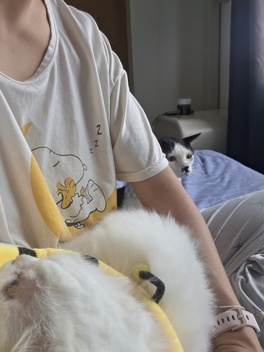 awwwfluffy's tweet photo. วันนี้น้องจิมาก่อน https://t.co/MBqhHQ11g2