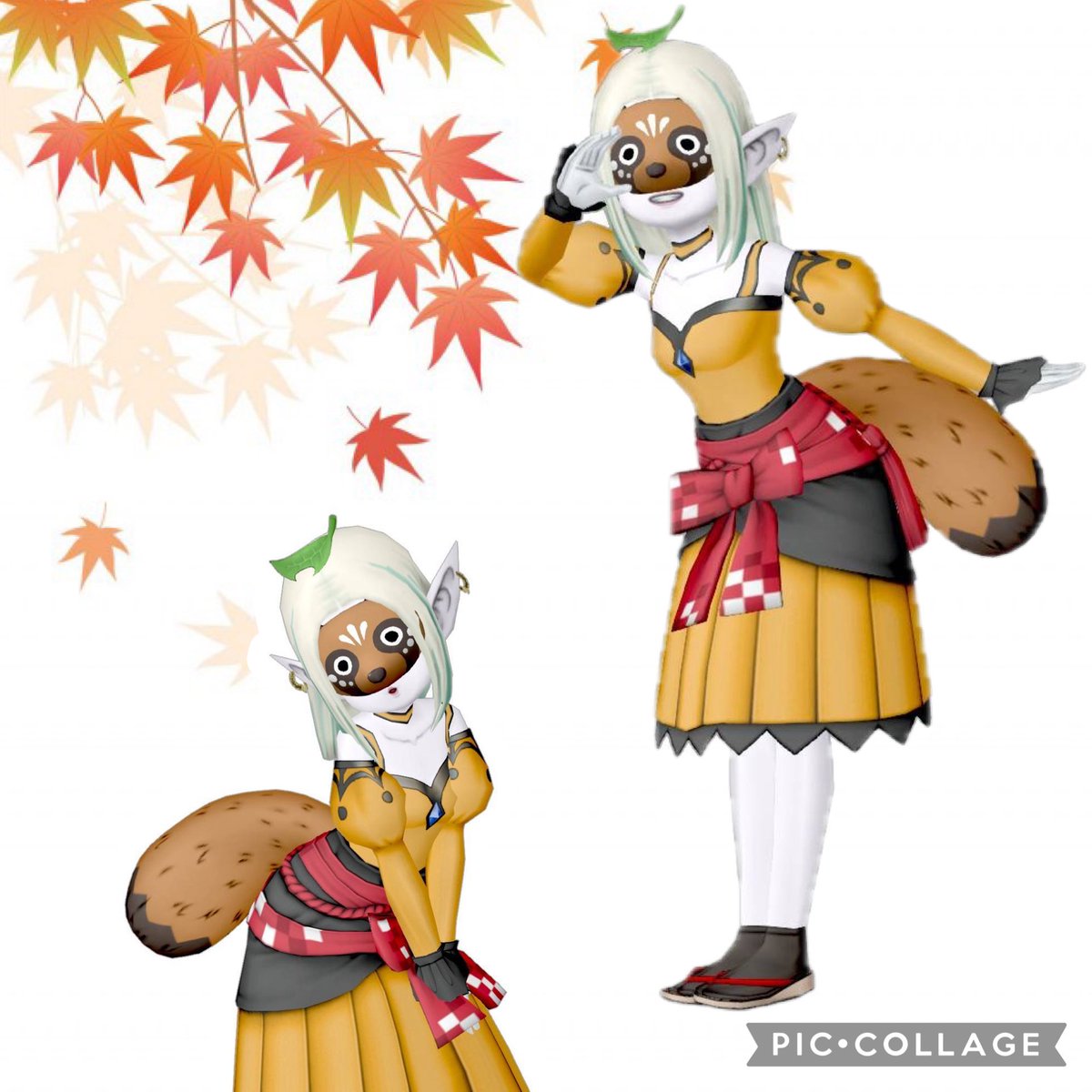 ares_DQ10's tweet photo. えるこちゃん、釣りレベル解放クエのついでにタヌキドレア作ったった https://t.co/fzq7NqecOX