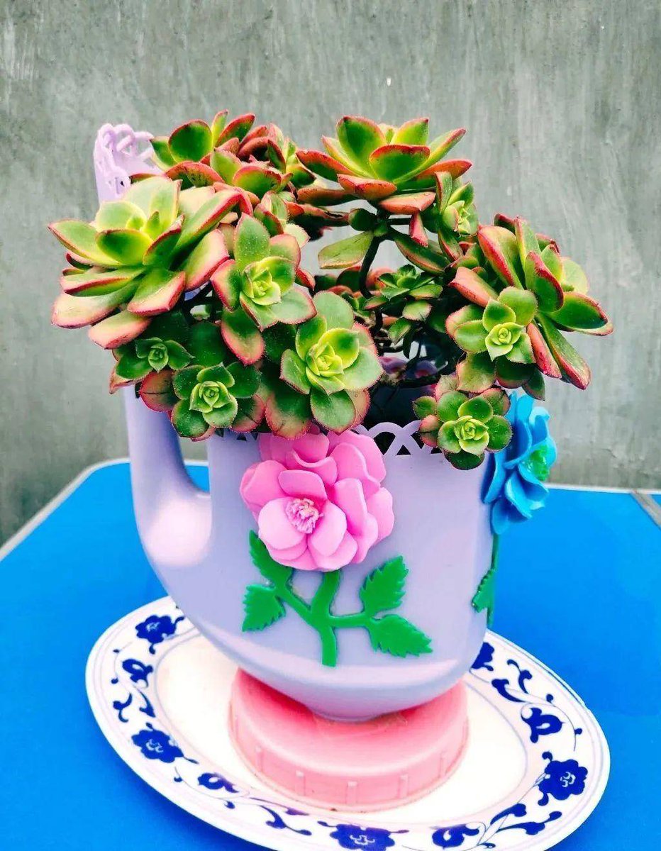 QuinnRound's tweet photo. Transformé una lata de café vacía en una maceta adorable para mis suculentas! Upcycling fácil y ecoamigable para decorar mi balcón ， https://t.co/W4CuzcqTQV