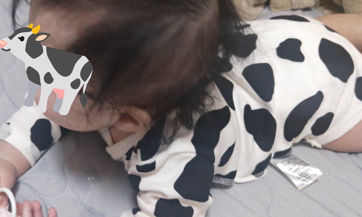 paru_std's tweet photo. 我が家に牛が出没しました🐄 https://t.co/KXXMo26l6W