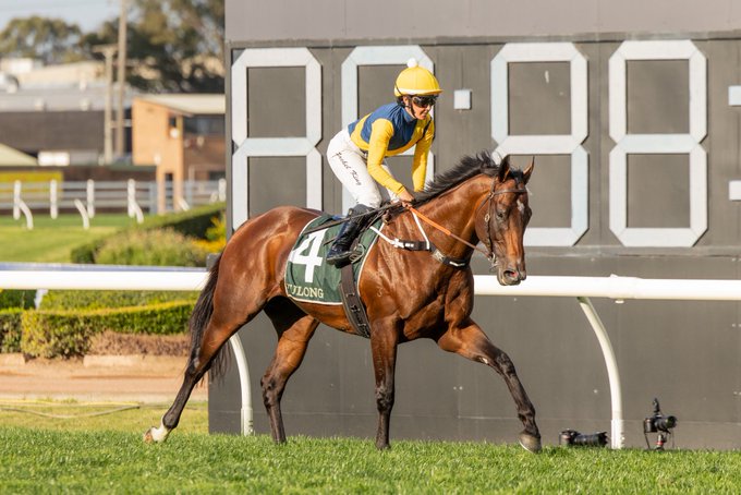 A jockey in yellow and blue silks rides a brown racehorse numbered 4 past a large scoreboard reading '888'.