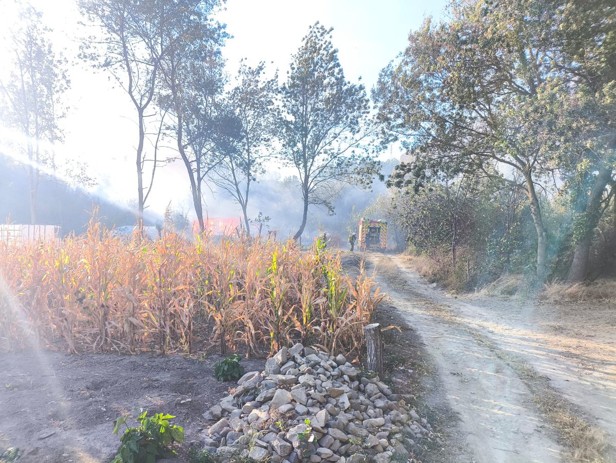 bomberos_na's tweet photo. Intervenimos la tarde del #viernes en #Huarte para extinguir un incendio de vegetación que afecta a una caseta de huerta
#ParqueCorodvilla
#ParqueTriniarios
@Guardas_na https://t.co/WpqqfbpYwU
