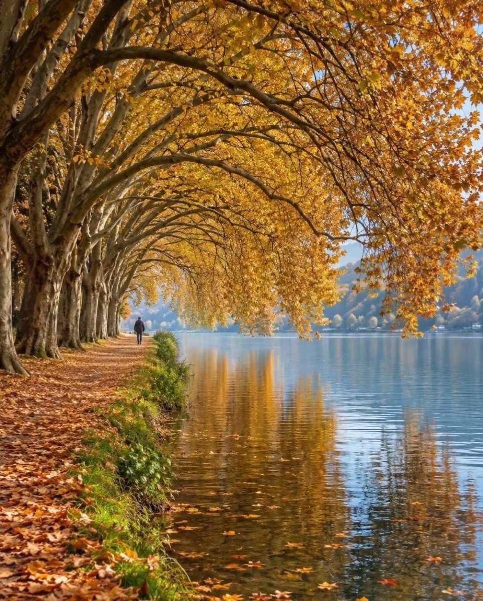 Prsamibcn's tweet photo. #صباح_الخير #ⵜⵉⴼⴰⵡⵉⵏ #Buenos_Dias #Egun_on #Bon_Dia #goodmorning #Günaydın #おはよう_좋은아침이에요ً https://t.co/tkXodpZqOU