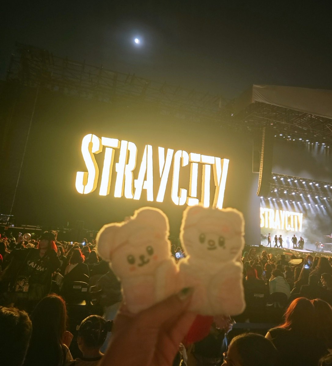 _killmeepls's tweet photo. una gran noche, este año pude ver 2 veces a skz así que estoy feliz (*￣∇￣*)
#StrayCityMéxico https://t.co/dyZWwvnpTD