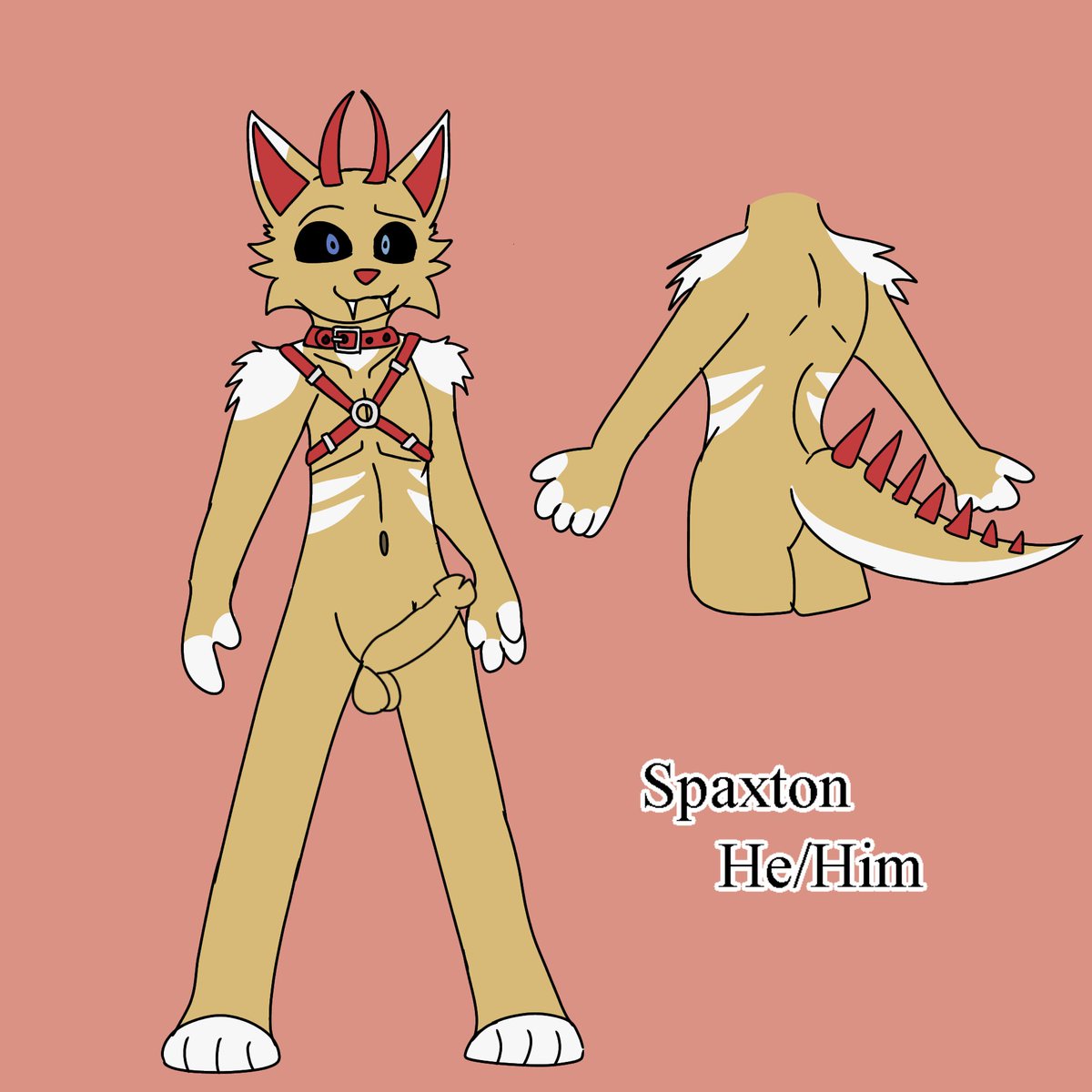 Feishalcocks's tweet photo. His name is Spaxton and he has a dick https://t.co/oifwX6yBN3
