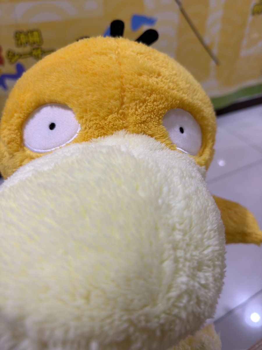to01u09ma's tweet photo. コダック取れた https://t.co/s5COiD3ZPF
