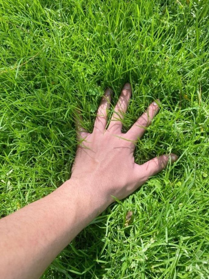 StatesOfMemes's tweet photo. Enjoy your weekend dear Degens!

Remember to touch some grass too.🤗 https://t.co/U99J07l4iU