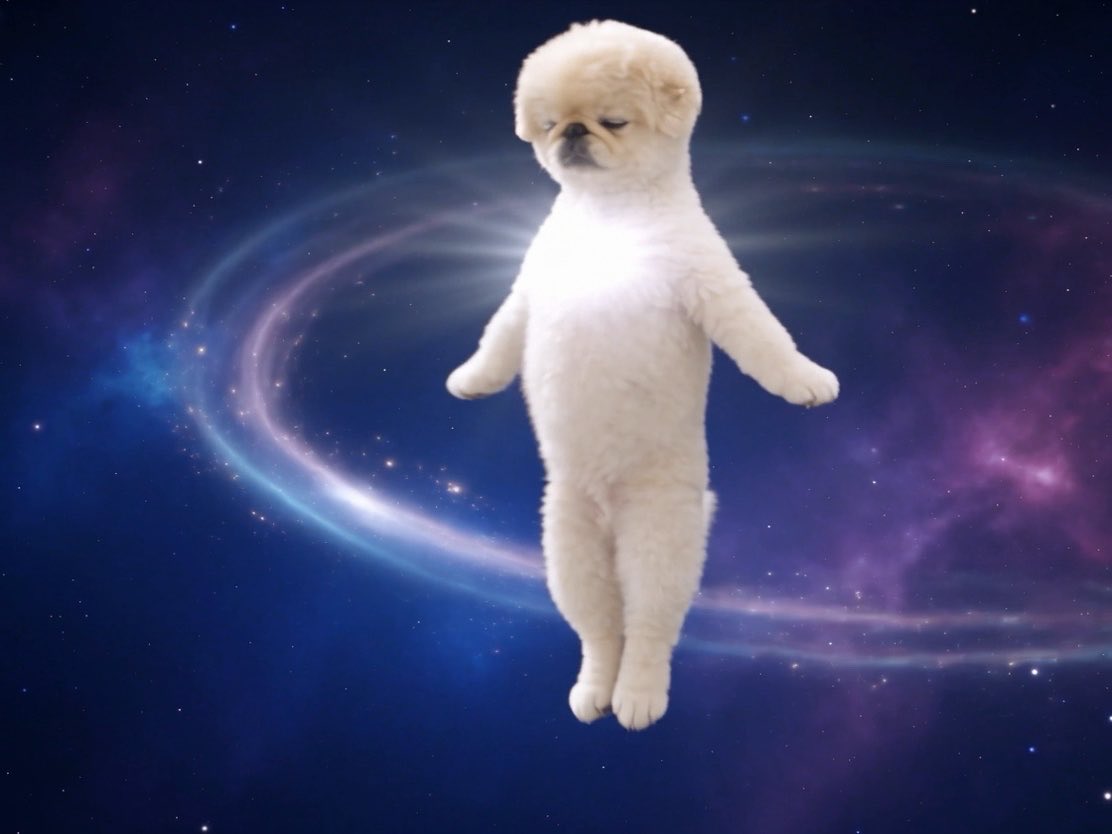 A digitally edited image of a fluffy white puppy with its eyes closed, standing upright against a cosmic background with swirling blue and purple nebulae and stars.