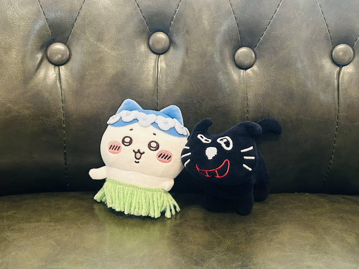 toutou_ko's tweet photo. 「ハチワレぇ！！！！」 https://t.co/VLJcVhHqm5