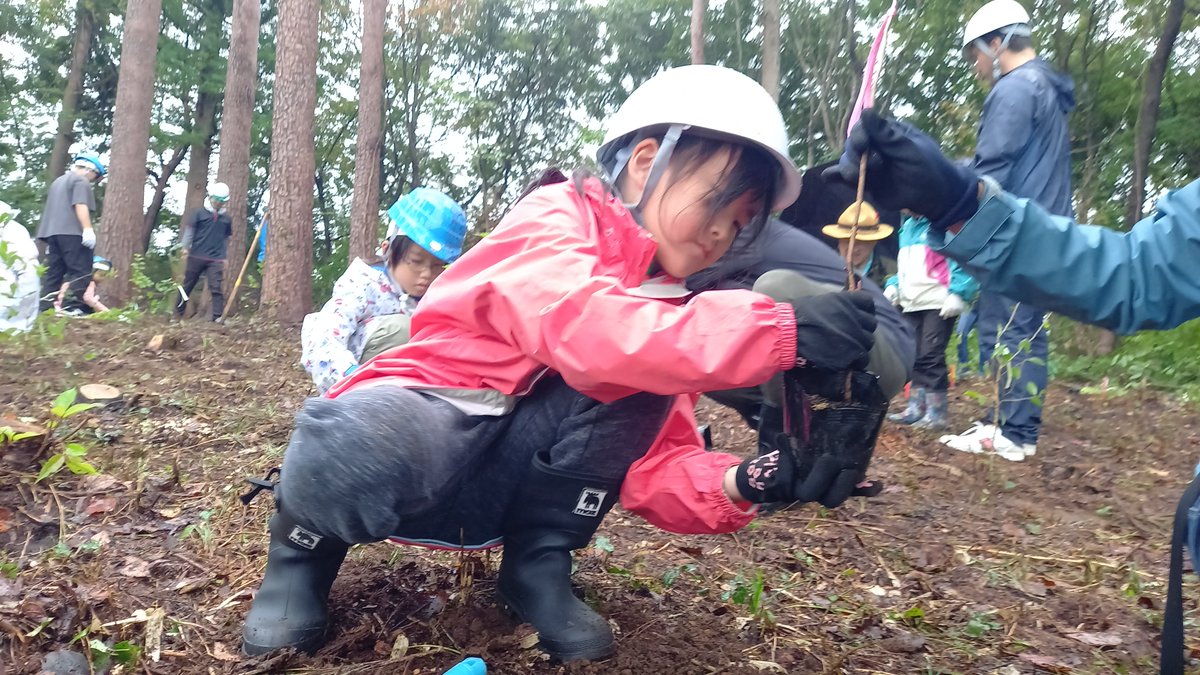fukushimabvs1's tweet photo. #荒川区 と #福島市 の交流イベント「#あらかわの森」の植樹・交流活動に参加！

雨に負けず、「ここを掘ろう！」「土をかけよう！」と声を掛け合いながら、力を合わせて森づくり！

#ビーバースカウト たちが大きく成長した頃、この小さな苗木も大きな木へと成長していることでしょう(^^ゞ https://t.co/knpuaKMBK8