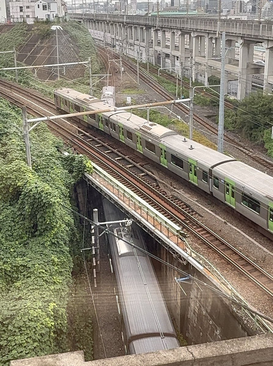 toyoakik's tweet photo. <鉄道の見えるカフェ>

京浜東北線、山手線、東北・上越・北陸新幹線に車両基地もある鉄道密集地が見える、なかなかの眺めのカフェでした♪

#ノースライトカフェ
#鉄道の見えるカフェ
#北区田端 https://t.co/GJZOlUPSJd