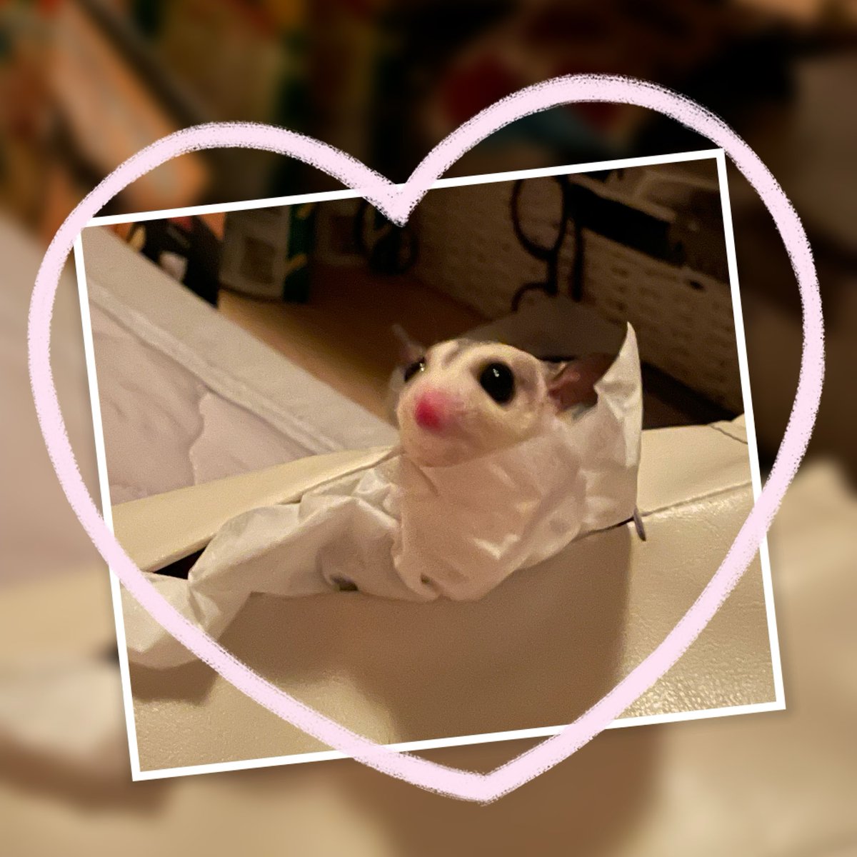 hiro88433404's tweet photo. モンちゃん🤍🪽 https://t.co/4IhuqtWygY