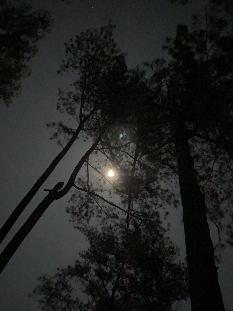 tquilane's tweet photo. the beauty of moon and stars https://t.co/KQrLztpXz9