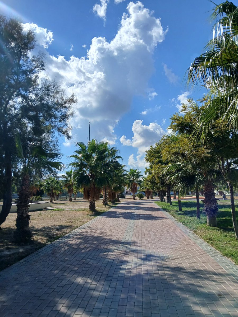 ozlemozdmr5's tweet photo. 🌴🫧🐚 https://t.co/JOb5cYJyq0