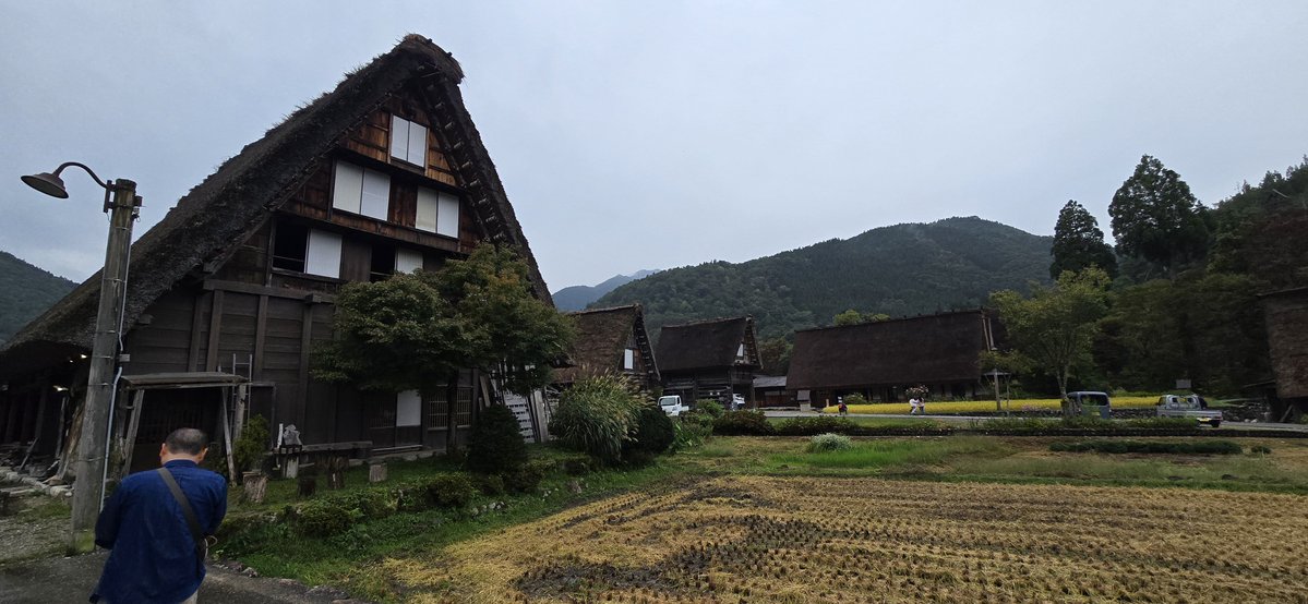 tyansoooooooon's tweet photo. 旅行最古！！ https://t.co/B7Ilrd1Cqr