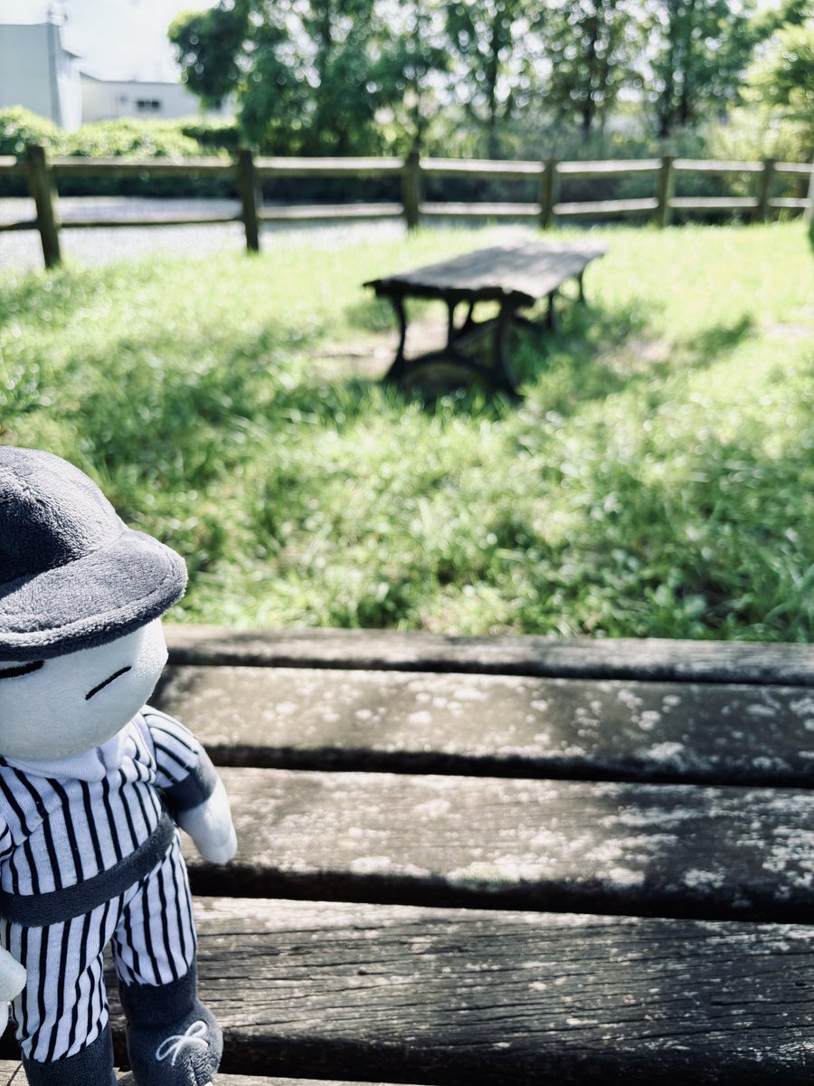 mmonmo18's tweet photo. ぬいバッターさんと一緒に息抜きできる幸せ🌿

#ぬい撮り
#OFFgame https://t.co/OcYLd6hupO