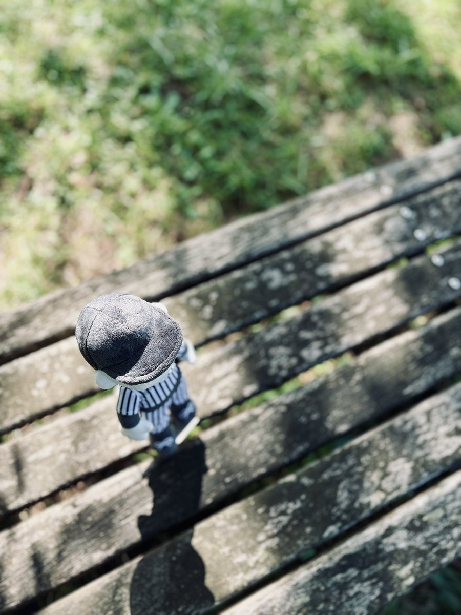 mmonmo18's tweet photo. ぬいバッターさんと一緒に息抜きできる幸せ🌿

#ぬい撮り
#OFFgame https://t.co/OcYLd6hupO