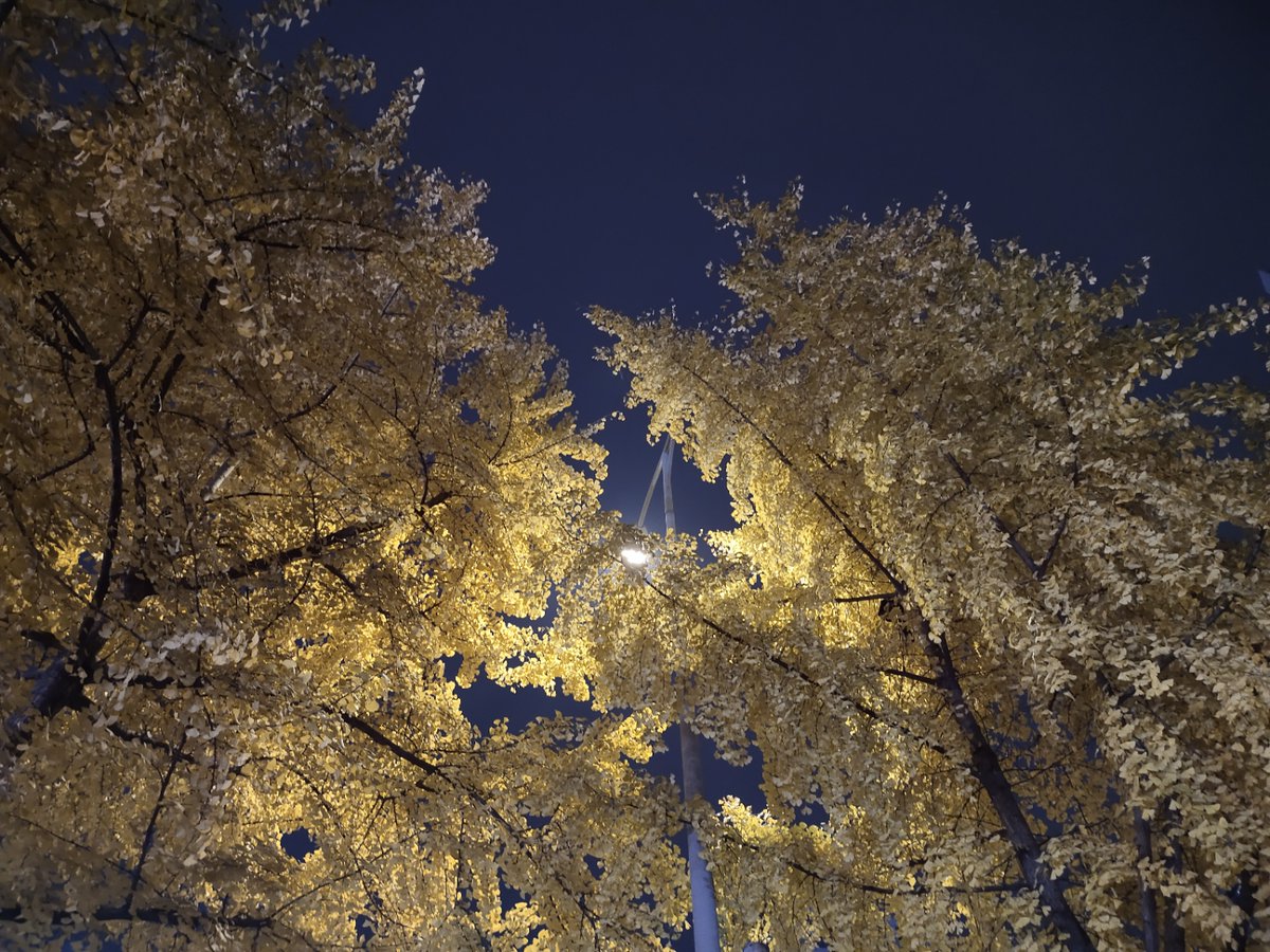 MARGYKAYEgo6i's tweet photo. Rincón callejero con luces cálidas y detalles que enamoran! Un instante simple que hace sonreír. https://t.co/vQpzdhhdB3