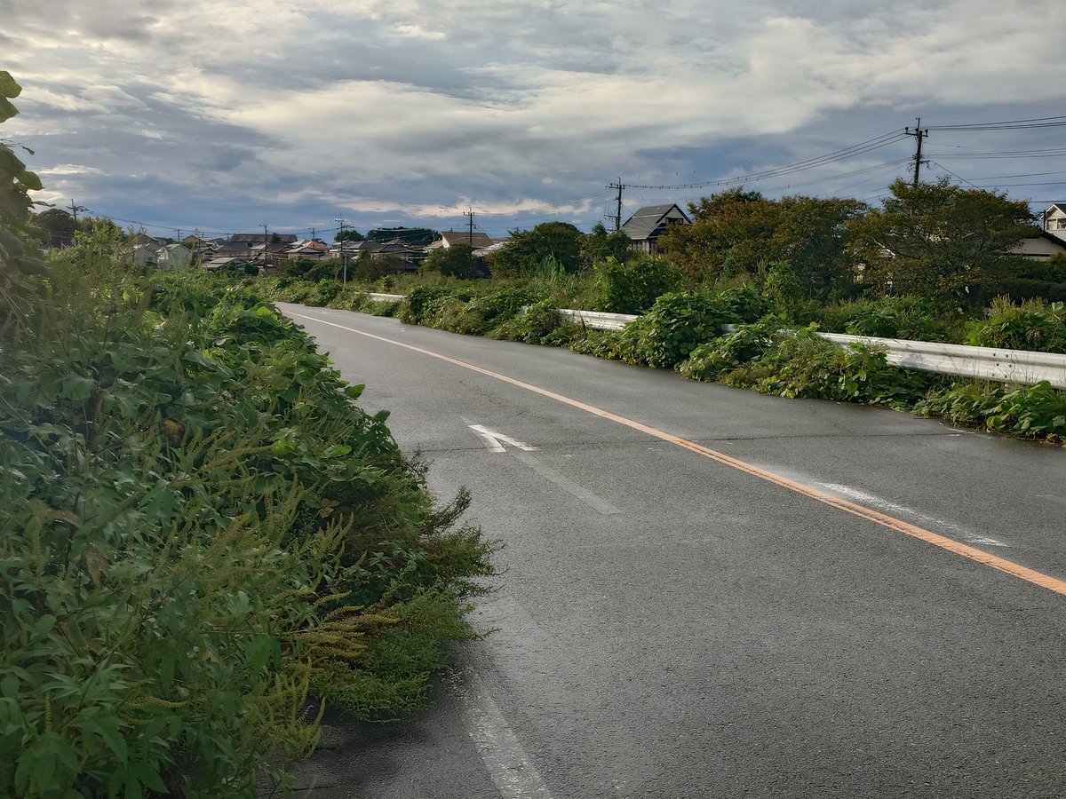 yoshiken2022's tweet photo. 古賀橋付近、きれいに除草されました。次は久保付近ですね。 https://t.co/aLkh8X0iwG