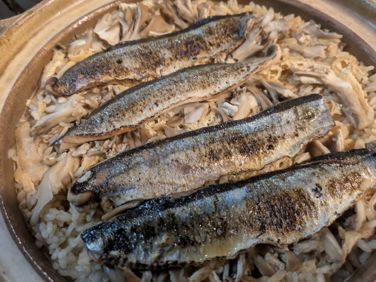 sf7777's tweet photo. 今日は、炙りサンマと舞茸の炊き込み御飯、本マグロ3種盛り、カンパチカマ、甘長ししとう、などなどいきます。
#炙りサンマと舞茸の炊き込み御飯 #本マグロ3種盛り #カンパチカマ塩焼き #甘長ししとう焼き #遊食家 https://t.co/KrbjddmRLe