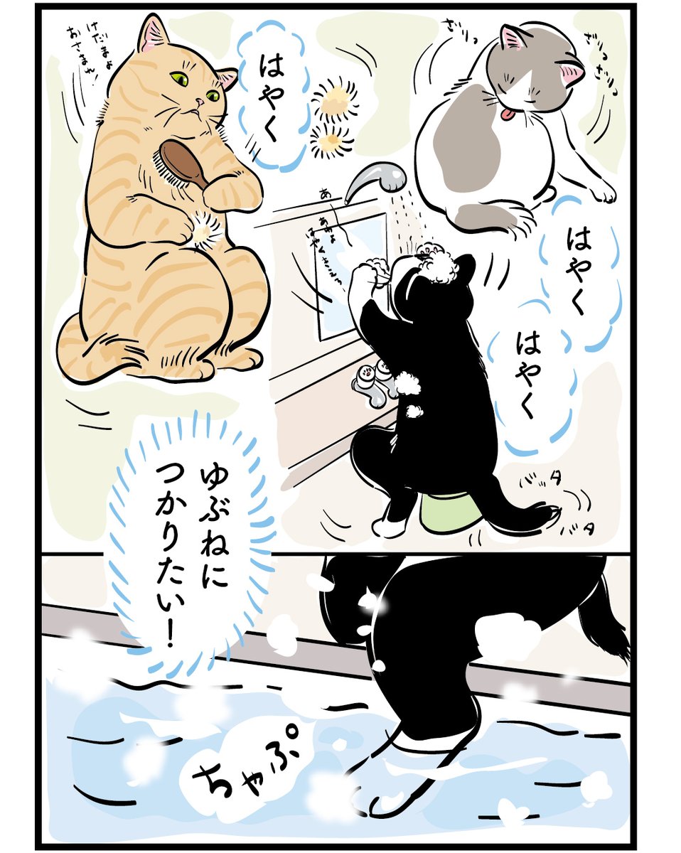 mojugiso's tweet photo. 急に寒いね♨️
ねこゆ再掲です
　
#ねこゆ　#猫湯
　
ねこゆの本が出ます！
よかったらこちらでご予約できます。
特製スマホ壁紙のプレゼントもあります。
 https://t.co/MGtlCuzEjo https://t.co/1WXl7YFcjl