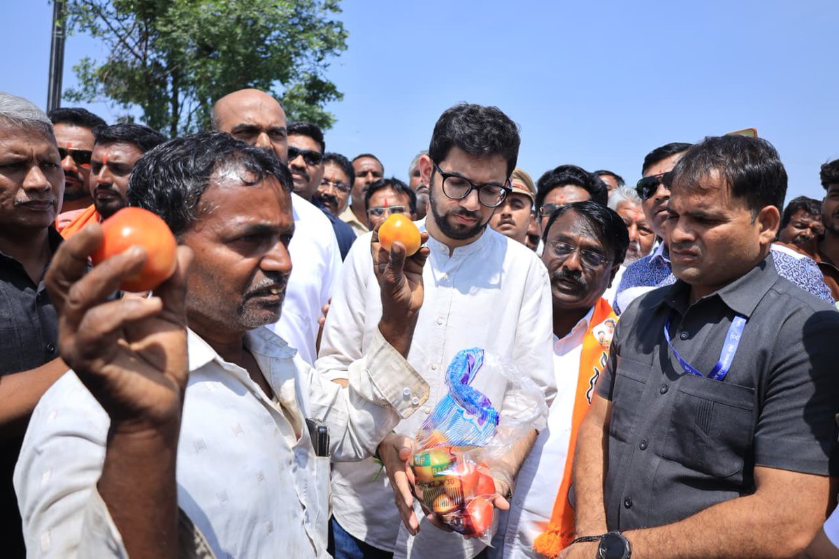AUThackeray's tweet photo. दुष्काळाचा दाह बळीराजाने अजून किती सोसायचा?

राज्यात ७५% दुष्काळ फक्त कागदावर जाहीर करून चालणार नाही, 
आता बळीराजाला प्रत्यक्ष मदतीची गरज आहे.

दुष्काळग्रस्त भागाची पाहणी करण्यासाठी आणि बळीराजाला धीर देण्यासाठी मी आज मराठवाडा दौऱ्यावर आहे.

सॊलापूर जिल्ह्यातील बोरामणी येथे भेट देऊन शेतकरी बांधवांच्या व्यथा जाणून घेतल्या. 

सोयाबीन, तूर सारखी प्रमुख पिकं अक्षरशः करपून गेली आहेत.

हाताशी आलेलं पीक पाण्याअभावी मरताना पाहून, बळीराजा टाहो फोडतोय. ह्या कठीण परिस्थितीत आम्ही अन्नदात्याच्या सोबत आहोत.