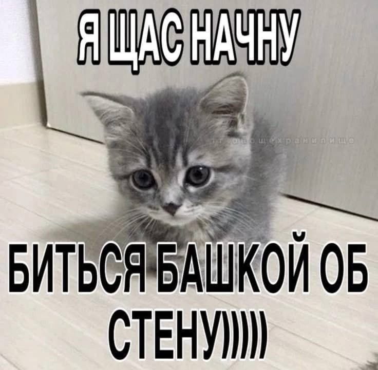 w1lkr_'s tweet photo. как обратно уснуть, я не выспалась https://t.co/gI7qspHLBw