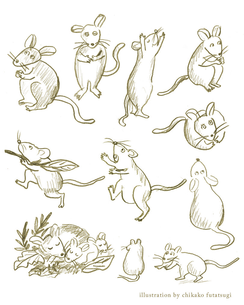 Futatsugi3's tweet photo. 野ネズミのいろんな動き✏️🐭🍂 https://t.co/FuSLLWimJO