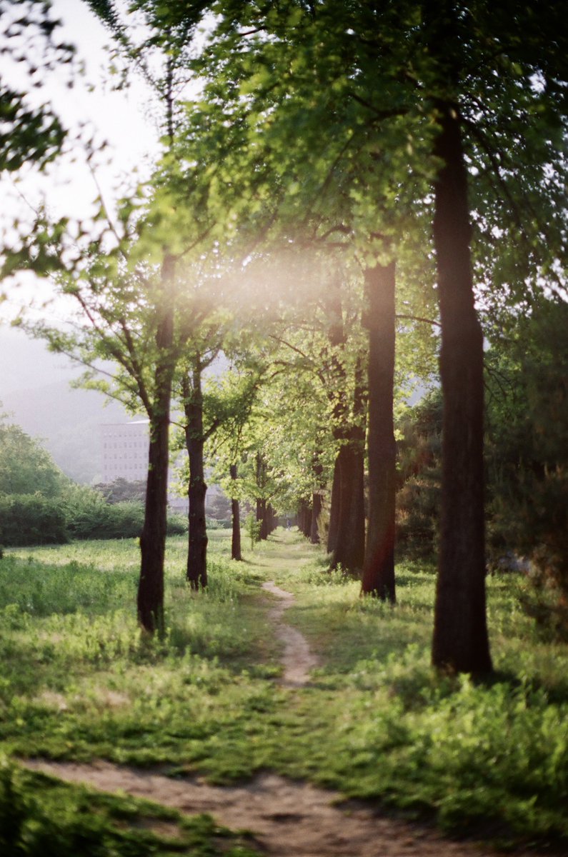 sasilddorae's tweet photo. 🌲 https://t.co/KNJVYvx7sl