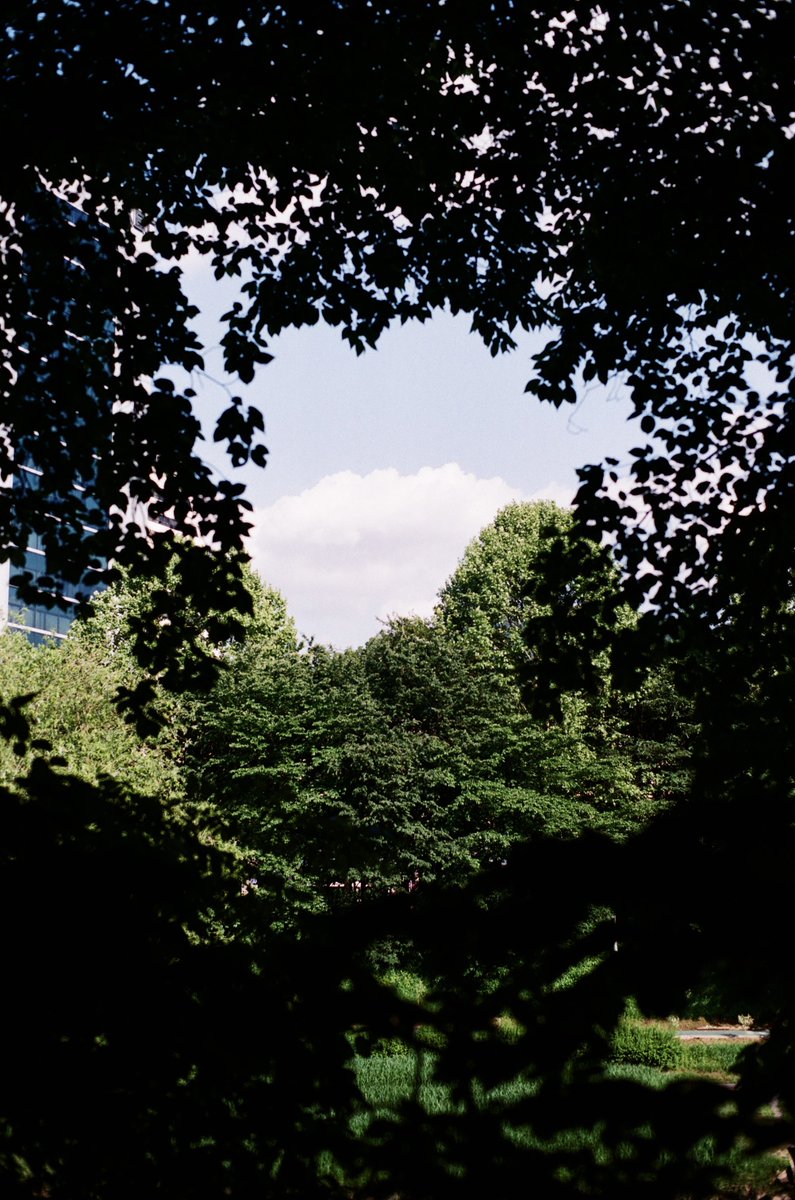 sasilddorae's tweet photo. 🌲 https://t.co/KNJVYvx7sl
