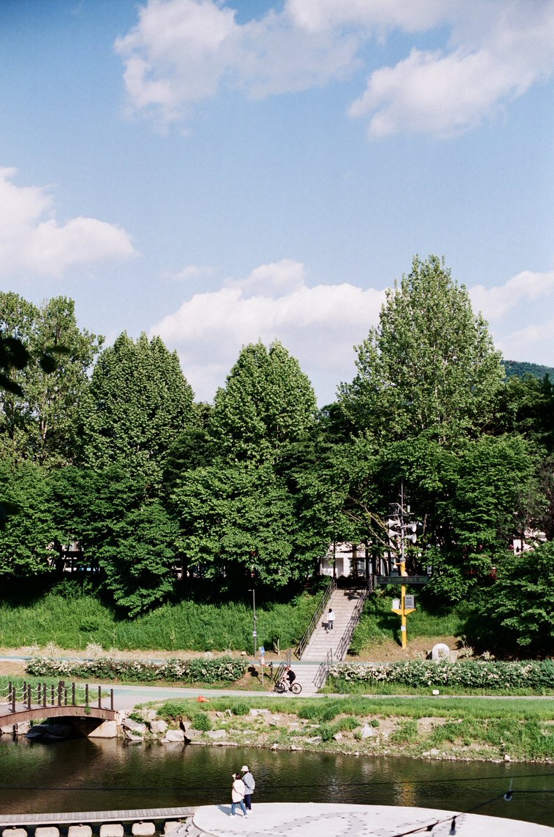 sasilddorae's tweet photo. 🌲 https://t.co/KNJVYvx7sl
