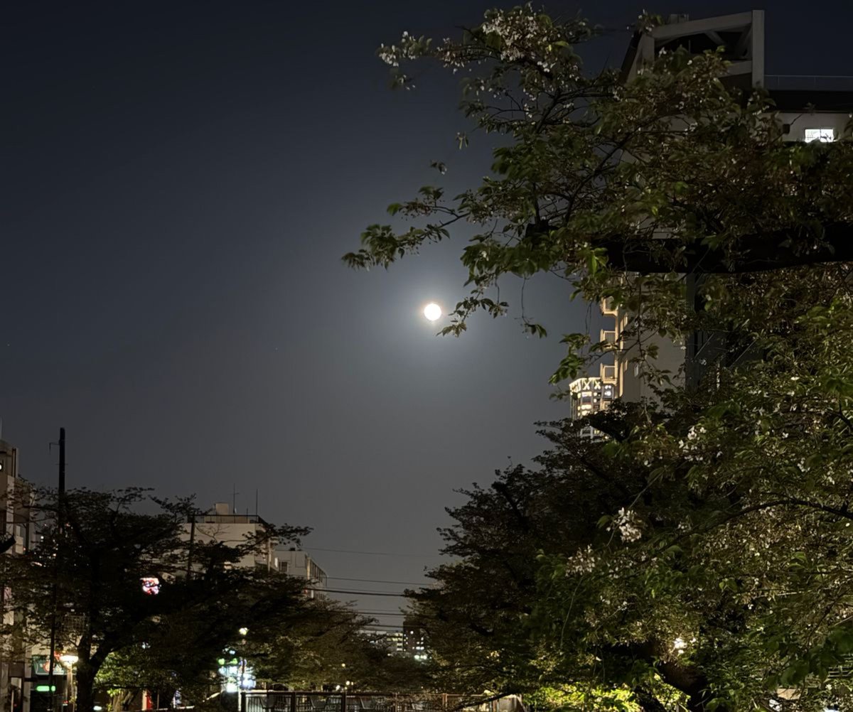 pusparani10's tweet photo. #Moon #Japan https://t.co/Kge8dDJtRu