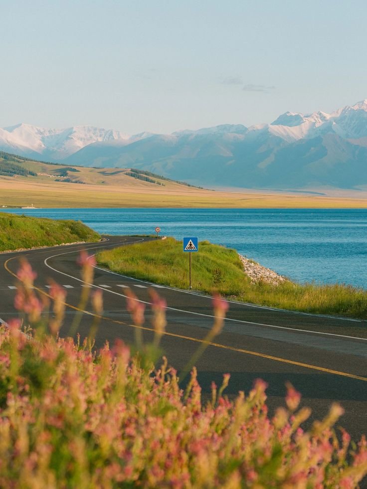 onllycutestuff's tweet photo. Sayram lake, China https://t.co/MxFRSjHHcN