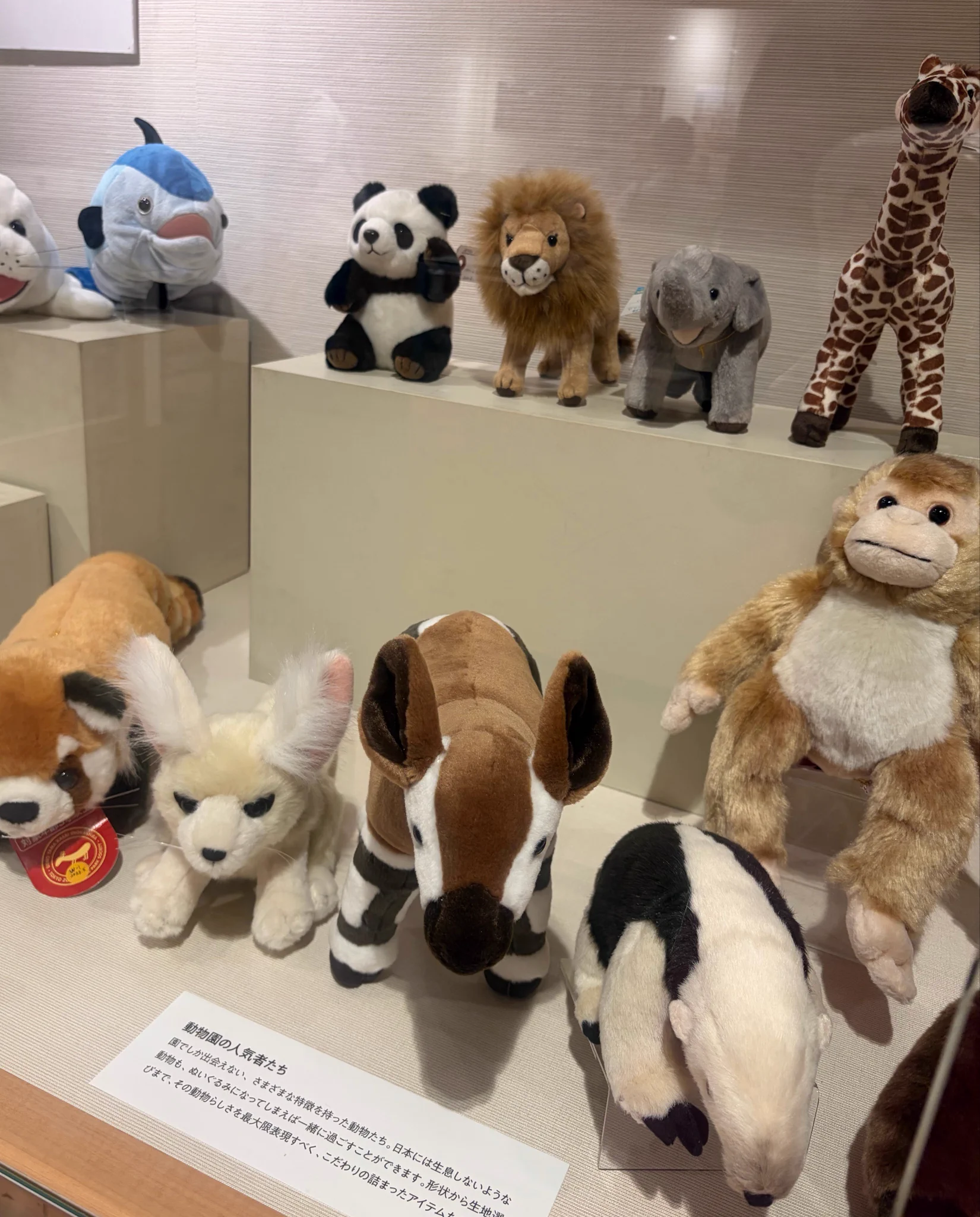 ぬいぐるみ動物園 野生のパフェ研究家 on X: 