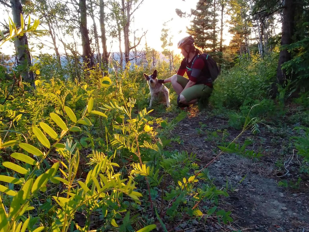 amirruby478939's tweet photo. Just had the best coffee while walking the dog. The sun’s out, and I haven’t checked work messages all day—small wins hit different. https://t.co/ghPB4Eumzh