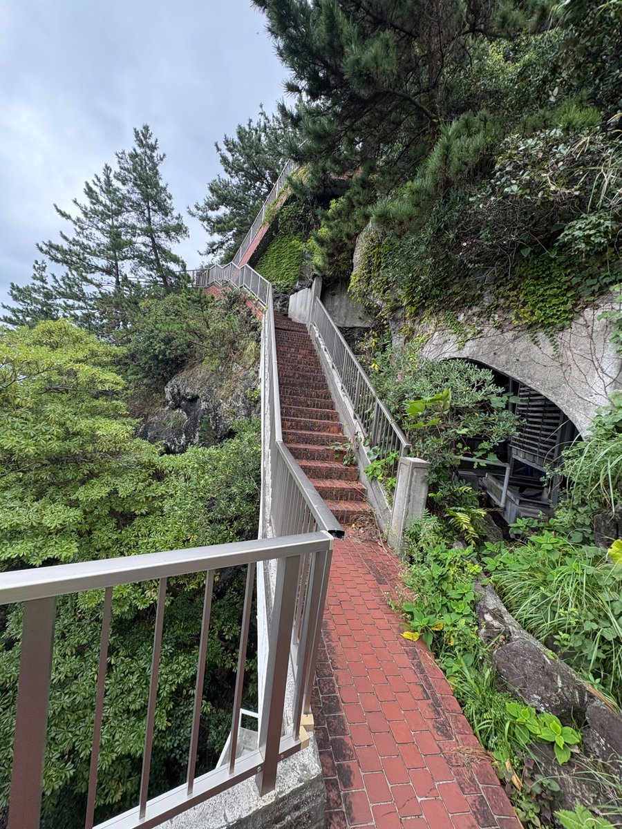 o_ou9's tweet photo. ニューアカオの屋上庭園もっと知られて欲しい……熱海が一望できるし錦ヶ浦すごいし… #ニューアカオ #熱海 #錦ヶ浦 https://t.co/9Aqj4jtWLK