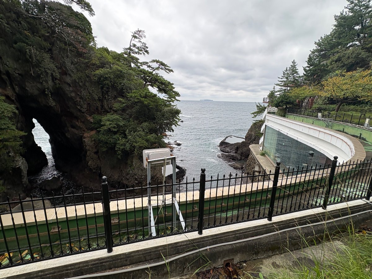 o_ou9's tweet photo. ニューアカオの屋上庭園もっと知られて欲しい……熱海が一望できるし錦ヶ浦すごいし… #ニューアカオ #熱海 #錦ヶ浦 https://t.co/9Aqj4jtWLK