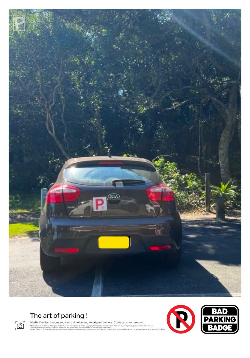 BadParkbro's tweet photo. Bad parking🥚🥚 https://t.co/iaTP7gXNqB