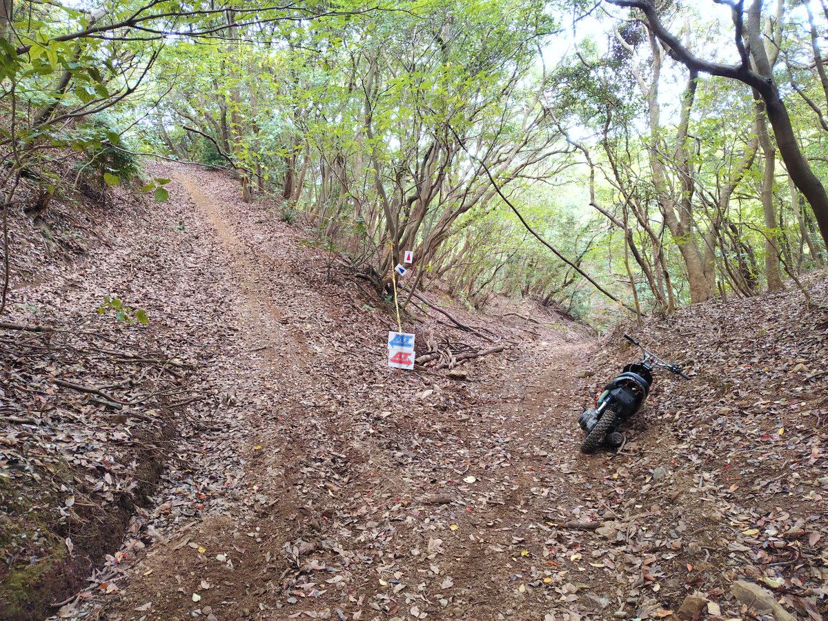 nomozakienduro's tweet photo. エンジョイオ���ロード2026mini
コースの準備出来ました！

明日は  絶好のレース日和になりそ���です
皆さま存分に  楽しみましょう＼(^o^)／ https://t.co/WXk7DETqHO
