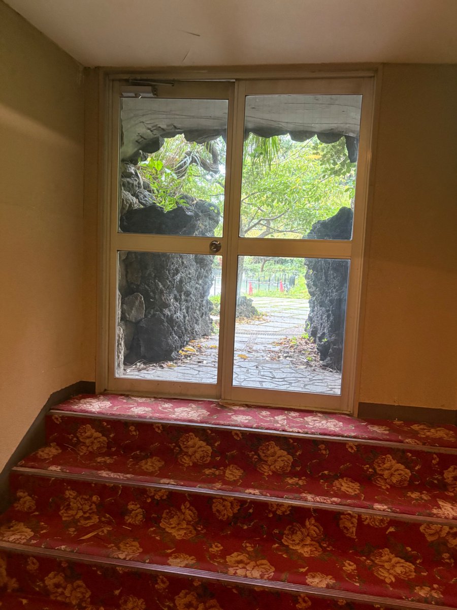 o_ou9's tweet photo. ニューアカオの屋上庭園もっと知られて欲しい……熱海が一望できるし錦ヶ浦すごいし… #ニューアカオ #熱海 #錦ヶ浦 https://t.co/9Aqj4jtWLK