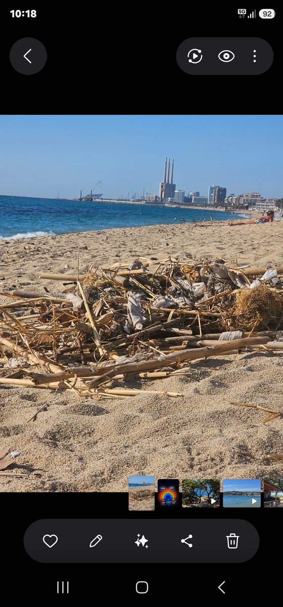 Minervabalsera's tweet photo. Bon día @ParcsplatgesAMB no rebeu el missatges?
7 dies sense aparèixer ningú per netejar, en canvi a les platges del costat sí que les mantenen netes.
Pont de la Butifarreta.
#Badalona https://t.co/6FhJu1XVgy