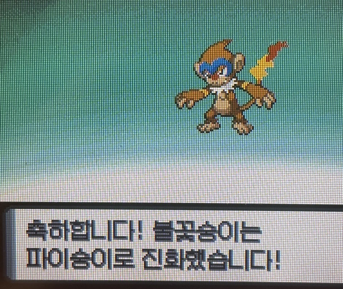 6e8c03's tweet photo. DS로하는 포켓몬 너무좋아 픽셀로보니까 오백배귀여움...... https://t.co/cgsV85gaoY