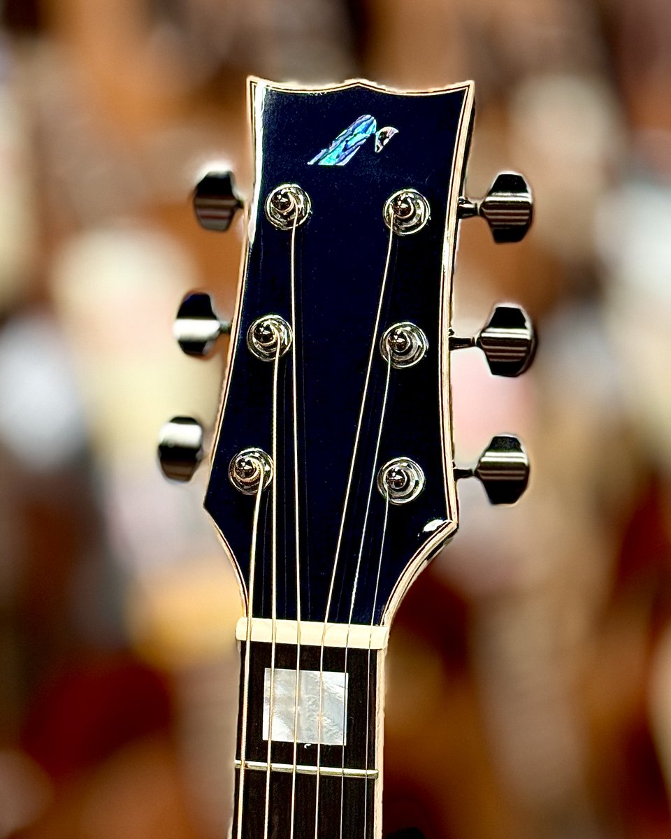gclubshibuya's tweet photo. 【6F Acoustic】
当店取り扱いの #Morris #ギター の中で1番人気のG-18が再入荷💙
Midnight Oceanの名の通り、満天の星々かのような美しいカラーリングの #アコギ です🌌
ステージ上で使っていて照明に当たった時の見え方を想像すると・・・思わずニヤニヤしちゃいます😏
https://t.co/kxB9hhpFXs https://t.co/3GK9Y6Y5rs