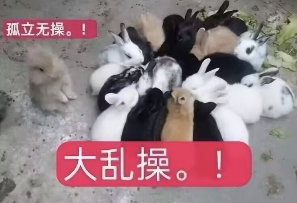 Cheesedog009's tweet photo. 🫪🫪最近超爱看3p/np
大乱操
大家一起开淫趴，太美味了 https://t.co/zRpsUy48I4