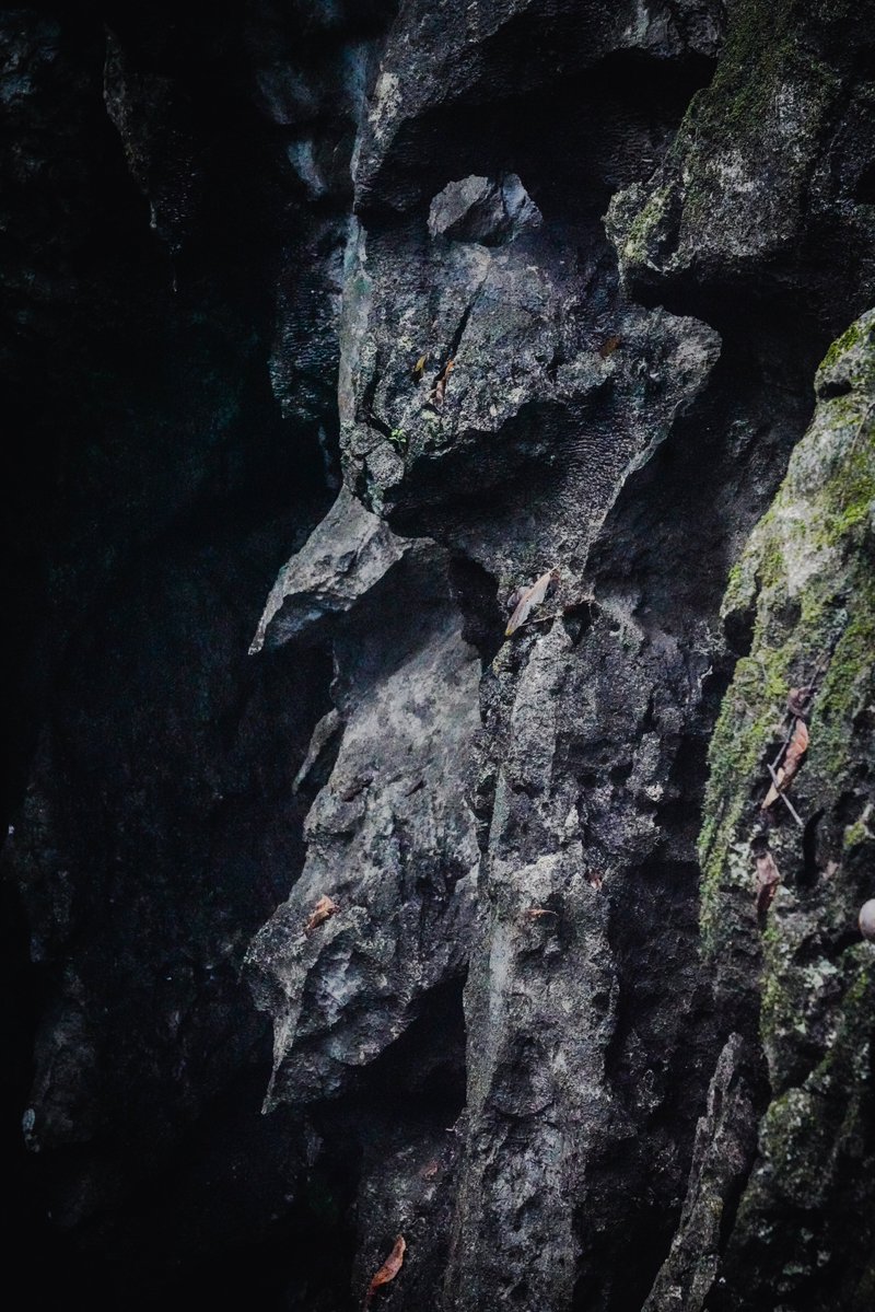 MasungiGeo's tweet photo. Peering into the shadowed fissures of the dark karst, we see a landscape defined by mutual adaptation. As water carved these intricate, scalloped textures, the forest learned to move with it.

The limestone creates cool, sheltered voids, and the ecosystem responds—vines reach into the hollows, while moss and decaying leaves cling to jagged ledges to slowly build new earth.

The rock and the forest are constantly shaping each other.

📷 Origin Trail Visit: Welcome the break of day atop one of our highest peaks, leading you where clouds drift, birds rise, and the forest awakens around you. Every Friday to Sunday. Reserve your spot through https://t.co/Fojf5BpfrT
📷 Private Trail Visit: Request a private trail for a minimum of 7 guests. Request a visit at least four days in advance via https://t.co/JJZFg6gDGd
📷 Shared Discovery Trail Experience: Join on Thursday and Friday at 8:00 AM, or weekends at 9:40 AM. Secure your place at https://t.co/UjL466FyYb