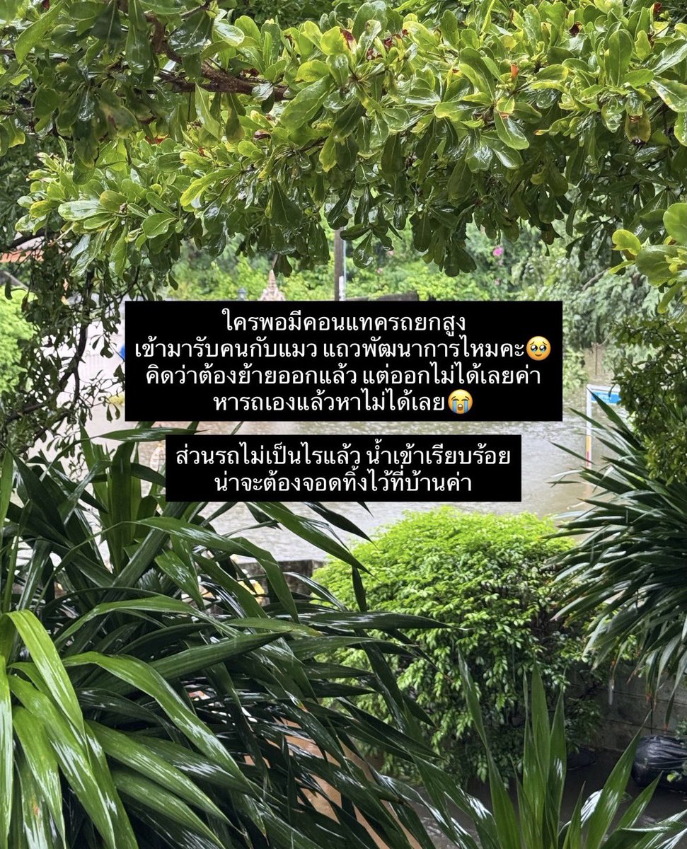 bijousugar's tweet photo. รบกวนทีค่า พอดีน้องติดอยู่แถวพัฒนาการ อยากจะอพยพออกแต่ออกไม่ได้เลย น้ำขึ้นสูงมากครึ่งล้อฟอจูนเนอร์แล้ว ใครพอจะมีคอนแทครถยกสูงหรือต้องติตต่อที่ไหนมั้ยคะ 🙇🏻‍♀️🙇🏻‍♀️🙇🏻‍♀️🙇🏻‍♀️🙇🏻‍♀️🙇🏻‍♀️ 

#น้ำท่วม https://t.co/xCdo1vzRlG
