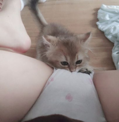 TequilaIzard's tweet photo. いい子はコメント欄見ないでね https://t.co/qb509RjcJ4