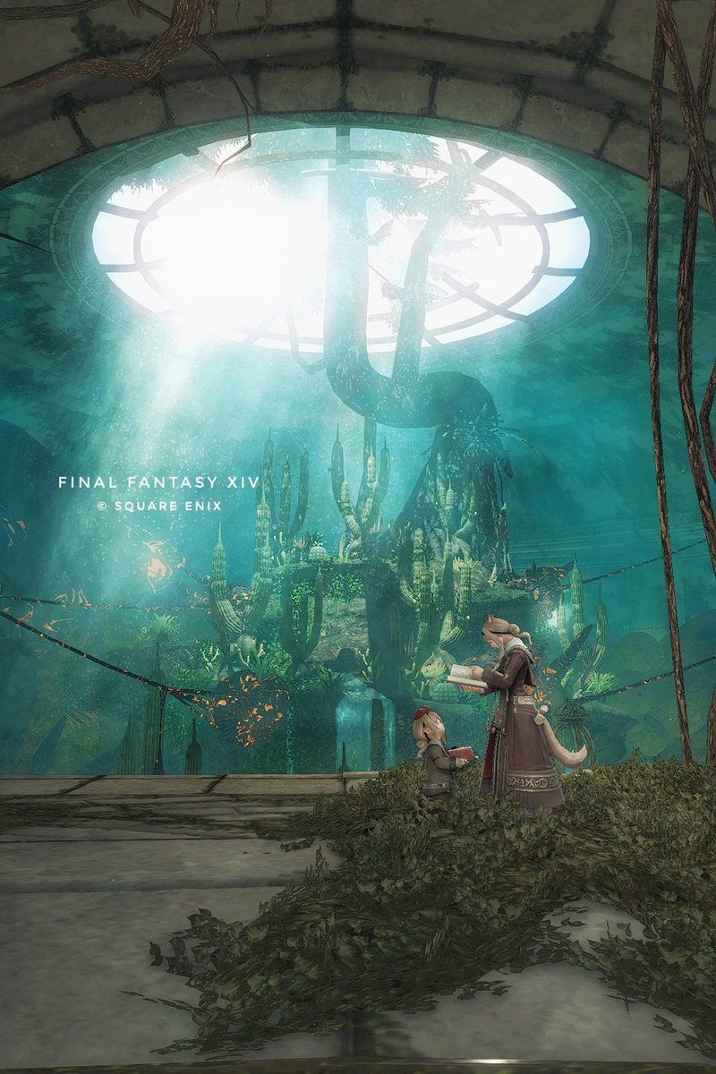 ksora_14ss's tweet photo. #FF14キャラ入り風景SSの会 
    『 知識の探求 』 https://t.co/fXul9hY3GK